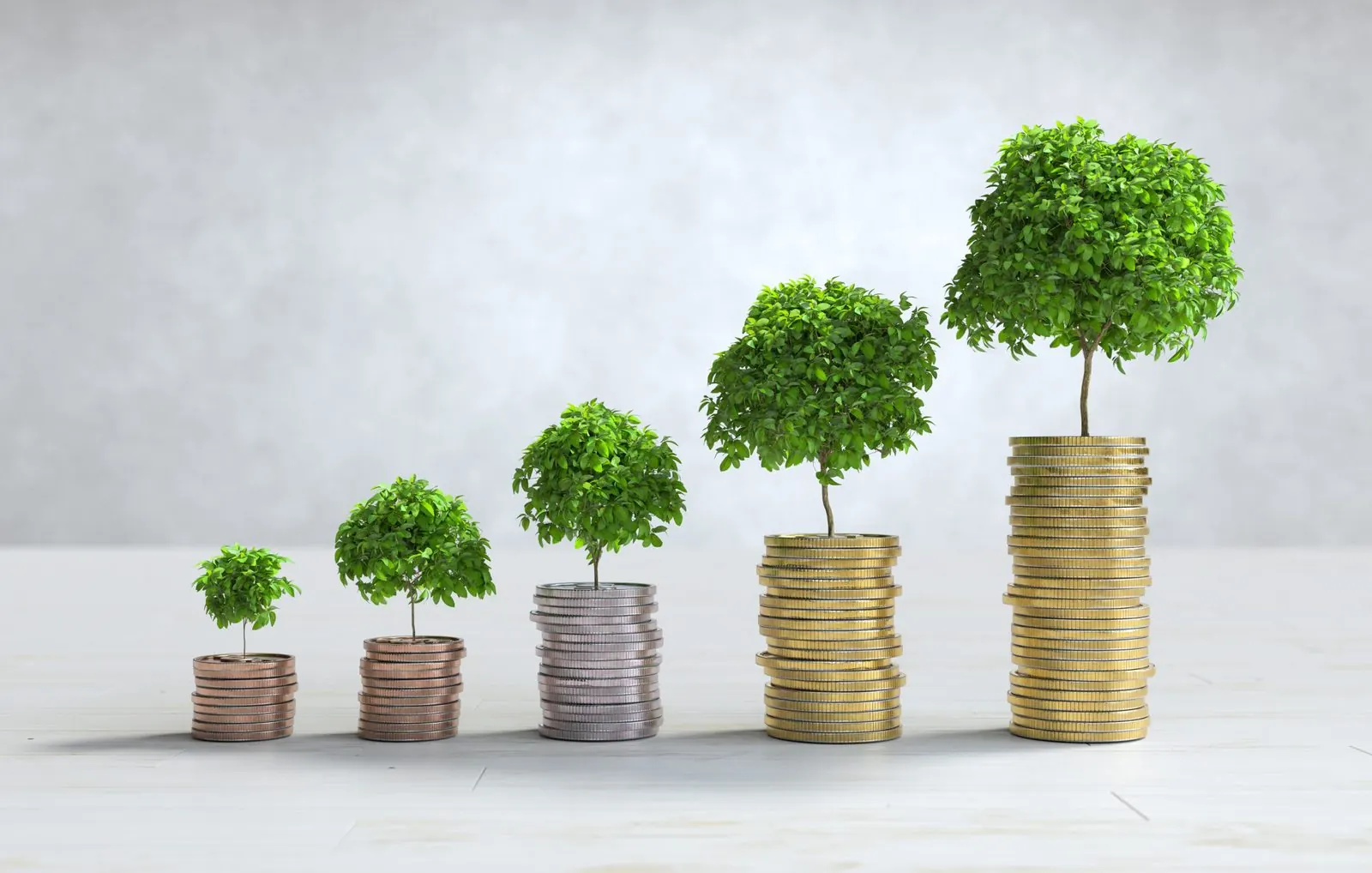 Vision — wealth growth